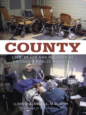 cover image of County